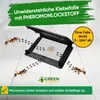 Ameisen Kunststoff Klebefalle mit Pheromonlockstoff – 1x Produktbild-Vorschau 4