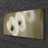 Tulup Leinwand-Bilder 100x50 Wandbild Canvas Kunstdruck Produktbild-Vorschau 2