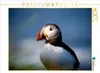 Calvendo Ein Motiv aus dem Kalender Beautiful Nature - Produktbild-Vorschau 3