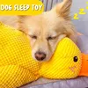 Hundespielzeug aus Plüsch für große Hunde, leises Produktbild-Vorschau 4