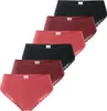 Schiesser Damen Brasilslip Modern Multipacks 6-Pack, Produktbild-Vorschau 1