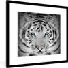 MuchoWow® MuchoWow® Gerahmtes Poster Tiger - Weiß - Augen Produktbild-Vorschau 1