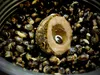 LK Baits Nutrigo Balanc 200ml gusto Monster Crab: diametro Anteprima dell’immagine prodotto 2