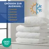 Bettdecke Ganzjahres Set 200x220 + 2x 40x80 cm Microfaser Produktbild-Vorschau 2