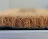 Home Elements Fußmatte Huhn 40 x 60 cm Produktbild-Vorschau 3