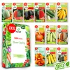 Toraf semená zeleniny XXL set 500 semien 12 druhov tekvica Náhľad obrázku produktu 1