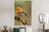 MuchoWow® Poster Vogel - Rotkehlchen - Tannenzapfen - Zweig Produktbild-Vorschau 4
