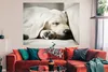 MuchoWow® Poster Schlafender Labrador Welpe 160x120 cm - Produktbild-Vorschau 2