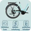 Tretwerk Amber: Bicicletta elettrica da donna, ruote da 28 Anteprima dell’immagine prodotto 14