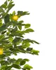BELIANI Umělá rostlina v květináči citrónovník citrus Náhled obrázku produktu 4