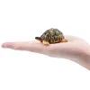 Toymany ML00420 Strahlenschildkröte 6,5 cm Reptilienreich Produktbild-Vorschau 2