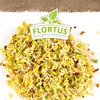Keimsprossen Brokkoli (200 g) |Keimsprossen von FLORTUS Produktbild-Vorschau 5
