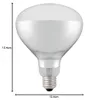 Lámpara infrarroja HENDI, color blanco, 250W Vista previa de la imagen del producto 4