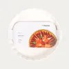HOMLA TINEO Tortenform weiß 27 cm Produktbild-Vorschau 7