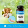 Yerba mate ekstrakt 420 mg 100 kapsuek PZN 18215327 Podgląd zdjęcia produktu 9