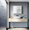 Armoires de toilette à portes battantes LED SONNI en acier Voir les images du produit 3