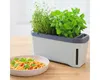 Gusta Garden HARRY HERBS samozavlažovací truhlík s víkem Náhled obrázku produktu 17