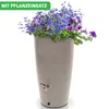 YourCasa Regentonne 240 Liter [Aquasplash] Messing Produktbild-Vorschau 2