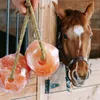 6 Stk. Lyra Horse® Salzleckstein Himalaya mit Seil - je ca. Produktbild-Vorschau 7