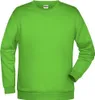 A plain studio shot of a green sweatshirt. Produktbild-Vorschau