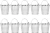 10ks květináčů Mini Succulent Plant Pot Malý kovový kbelík Náhled obrázku produktu 2