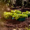 UPP Erd-Bewässerungsring Pflanzringe Pflanzenringe Produktbild-Vorschau 2