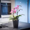 Leni FLORI orchid Orchideentöpfe 4er Komplett-Set Ø 13 cm H Produktbild-Vorschau 5