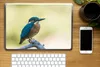 MuchoWow® Laptop Aufkleber Sticker Cover Eisvogel - Zweig - Produktbild-Vorschau 2