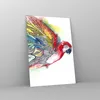 Bilder auf glas - Einteilig - Parrot Flügel Federn Natur - Produktbild-Vorschau 4