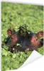MuchoWow® Poster Nilpferd - Wasser - Pflanzen 80x120 cm - Produktbild-Vorschau 1