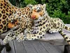 Leopard Plüschtier 27cm Braun Baby Plüschtier Kuscheltiere Produktbild-Vorschau 3