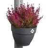 elho® Vibia campana Fallrohr Pflanzgefäß Anthrazit 22 cm - Produktbild-Vorschau 3