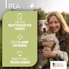 REAVET Grasmilben-Spray 500ml – Schutz & Pflege mit Produktbild-Vorschau 5