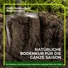 Gründüngung Mischung - Ganzjährige Aussaat 1 kg Produktbild-Vorschau 3