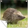 MuchoWow® Produktbild-Vorschau 1