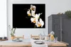 MuchoWow® Poster Orchidee - Blumen - Pflanzen - Botanisch Produktbild-Vorschau 3