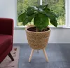 A plant in a woven pot on a stand, next to a red chair, with a window showing greenery in the background. Produktbild-Vorschau