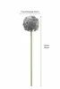 Metall Allium Gartenstecker Purple Art Ferro Garten D16,2cm Produktbild-Vorschau 2