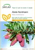 SAFLAX  - Abete Nordmann - 20 semi - Abies Anteprima dell’immagine prodotto 1