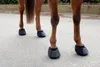 KERBL Hufschuh Größe 5, anatomisch geformt mit rutschfester Produktbild-Vorschau 3