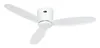Energeticky úsporný stropní ventilátor s dálkovým ovládáním Náhled obrázku produktu 1