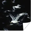 MuchoWow® Poster Vogel - Schwarz - Schwarm 100x100 cm - Produktbild-Vorschau 1