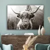 OneMillionCanvasses® - Plátno - Skotský horal - Kráva - Náhled obrázku produktu 4