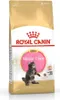 Royal Canin Feline Kitten Maine Coon 36 4kg Anteprima dell’immagine prodotto 12