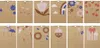 folia 23131 folia DIY kreativní nástěnný kalendář CRAFTY Náhled obrázku produktu 2