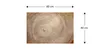 Metallische Magnettafel BAUMSTAMM NATUR BAUMKERN 60x40cm Produktbild-Vorschau 5