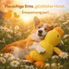 Anti Stress Ente™ Jouet pour chien Canard qui couine Voir les images du produit 3