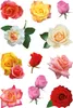 HERMA Sticker DECOR "Rosenblüten bunt" 3 Blatt à 11 Sticker Produktbild-Vorschau 5