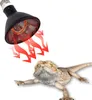 A reptile heat lamp shining red heat rays onto a bearded dragon lizard. Náhled obrázku produktu