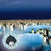 Pinguin Kinder Wanduhr aus Alu Produktbild-Vorschau 5